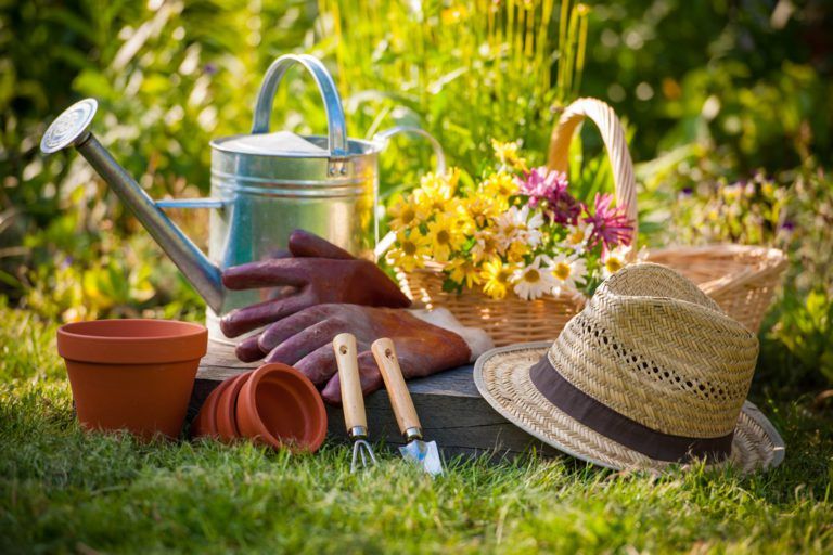 Offre aide pour entretien du jardin